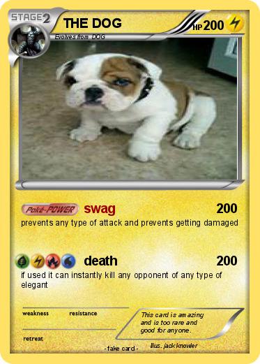 Pokemon THE DOG