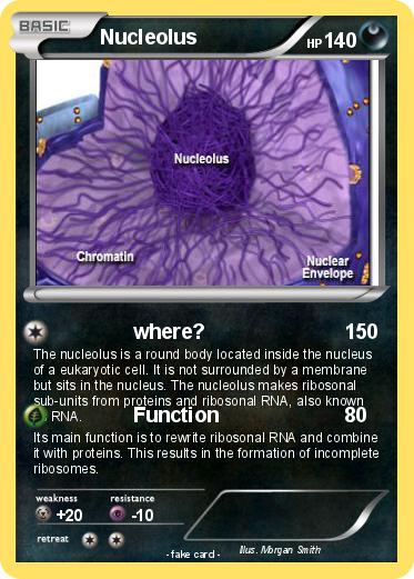 Pokemon Nucleolus