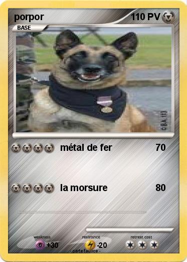 Pokemon porpor