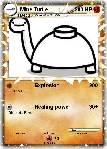 Pokemon Mine Turtle