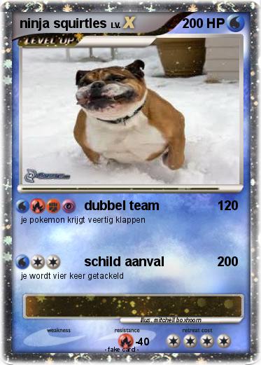 Pokemon ninja squirtles