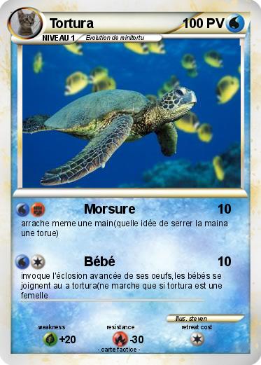 Pokemon Tortura
