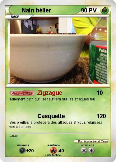 Pokemon Nain bélier