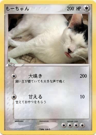 Pokemon もーちゃん