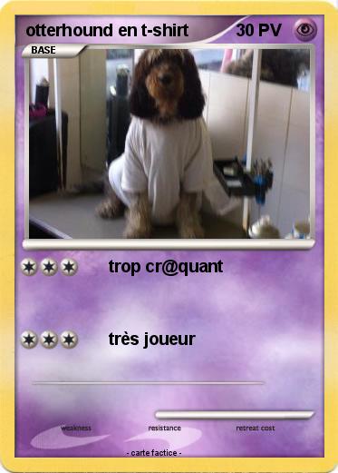 Pokemon otterhound en t-shirt