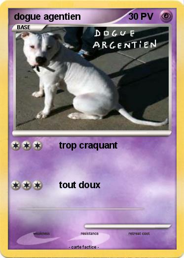 Pokemon dogue agentien