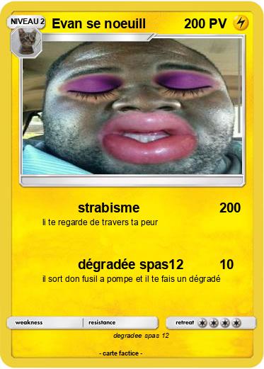 Pokemon Evan se noeuill