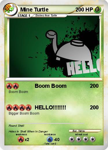 Pokemon Mine Turtle
