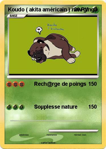 Pokemon Koudo ( akita américain ) new ginga