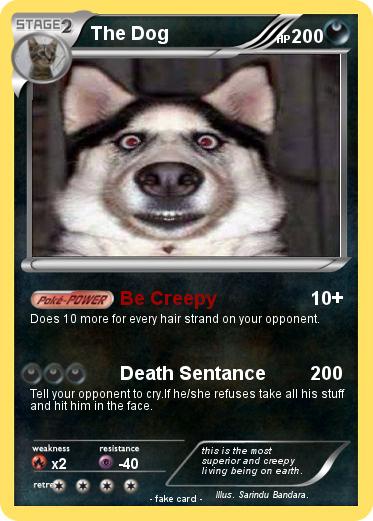 Pokemon The Dog