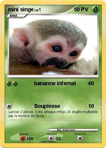 Pokemon mini singe