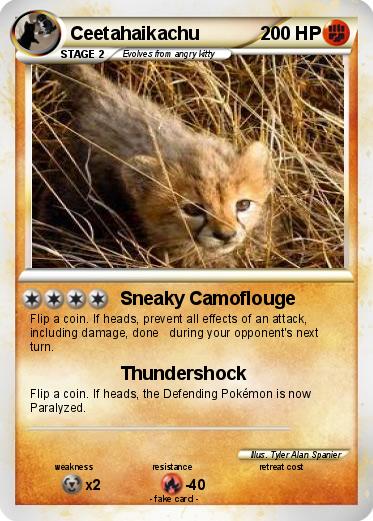 Pokemon Ceetahaikachu