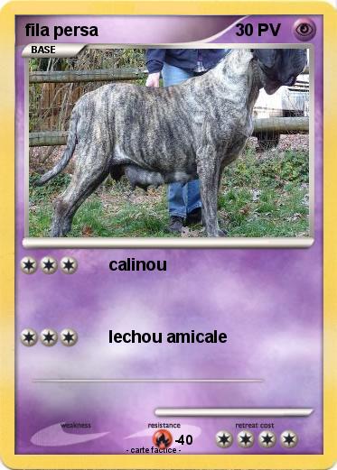 Pokemon fila persa