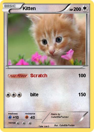Pokemon Kitten