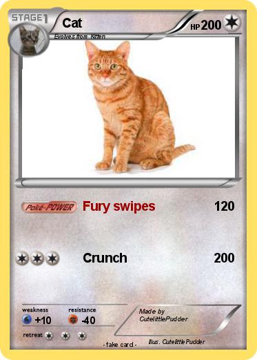 Pokemon Cat