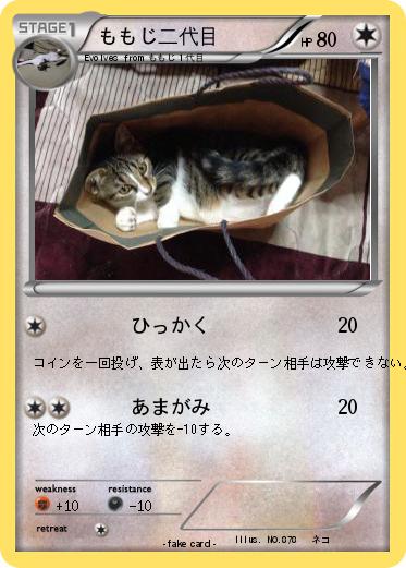 Pokemon ももじ二代目