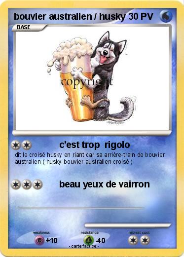 Pokemon bouvier australien / husky