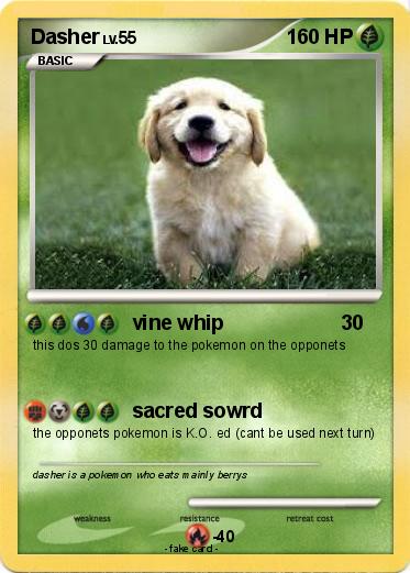Pokemon Dasher