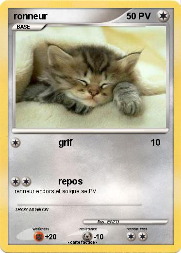 Pokemon ronneur