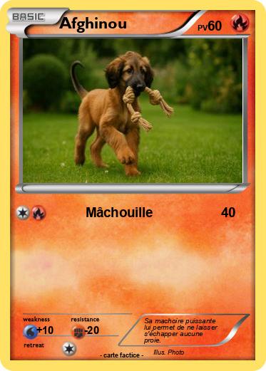 Pokemon Afghinou
