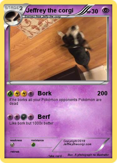 Pokemon Jeffrey the corgi