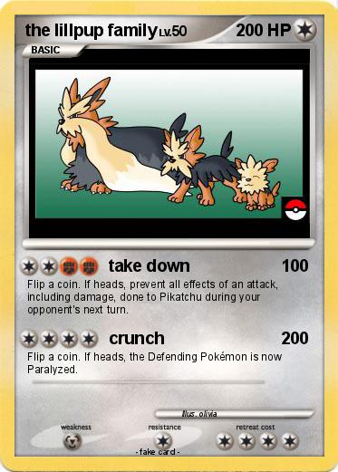 Pokemon the lillpup family