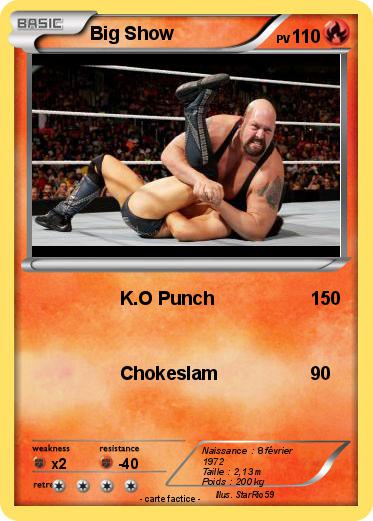 Pokemon Big Show