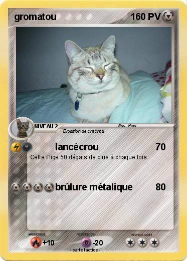 Pokemon gromatou