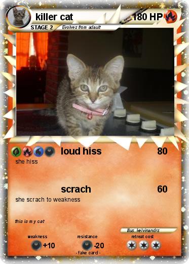 Pokemon killer cat