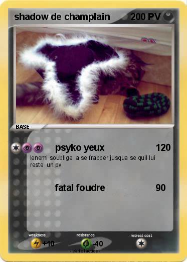 Pokemon shadow de champlain