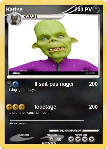 Pokemon Karine