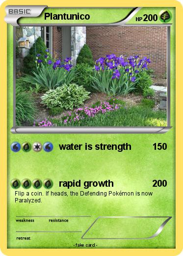 Pokemon Plantunico