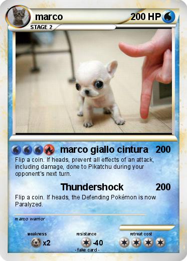 Pokemon marco