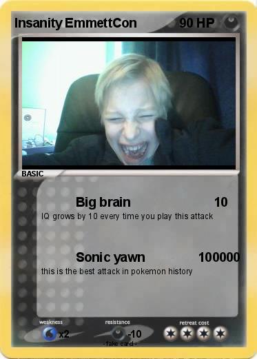 Pokemon Insanity EmmettCon