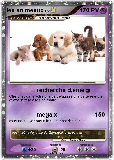Pokemon les animeaux