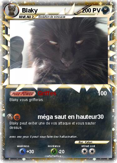 Pokemon Blaky