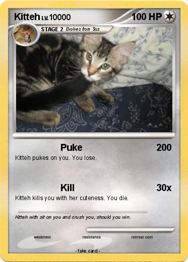 Pokemon Kitteh
