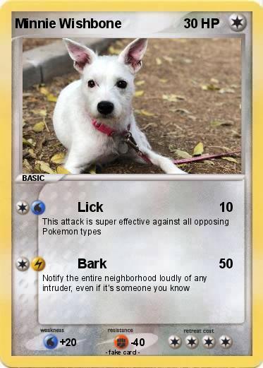 Pokemon Minnie Wishbone