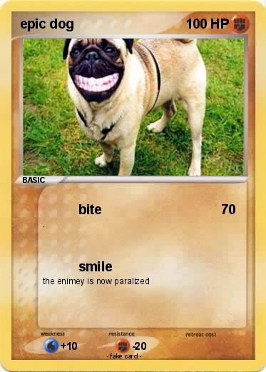 Pokemon epic dog