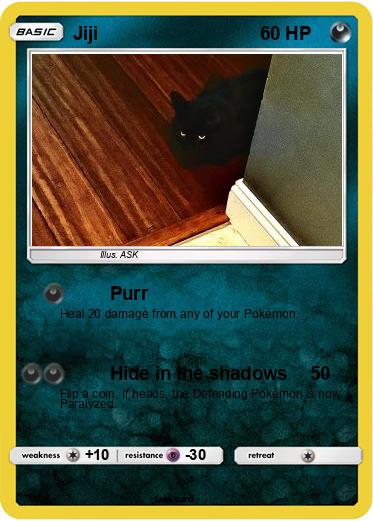 Pokemon Jiji