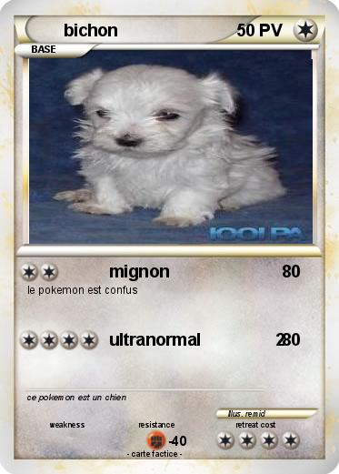 Pokemon bichon