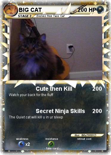 Pokemon BIG CAT