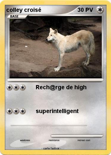 Pokemon colley croisé