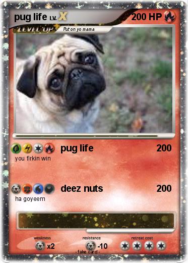 Pokemon pug life
