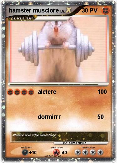 Pokemon hamster musclore
