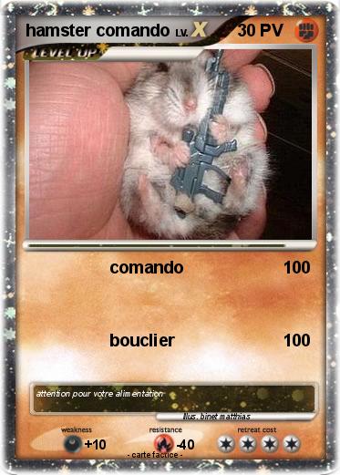 Pokemon hamster comando