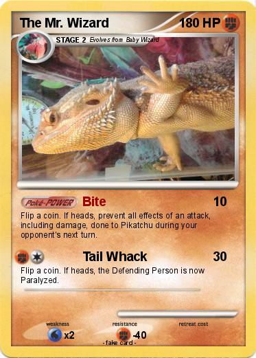 Pokemon The Mr. Wizard