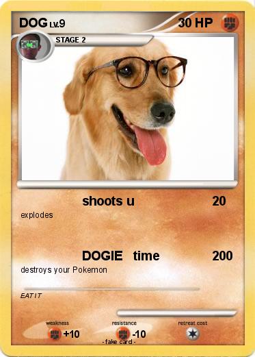 Pokemon DOG