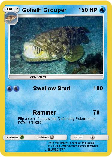 Pokemon Goliath Grouper