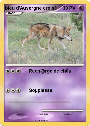 Pokemon bleu d'Auvergne croisé